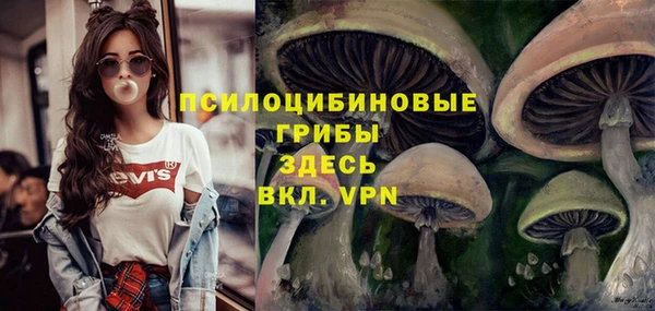 экстази Козловка