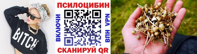 Псилоцибиновые грибы мицелий  Купить закладки  Белокуриха 